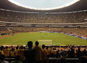 葡萄牙名将,穆蒂尼奧无,费加盟布拉,彩客网比分,体育赛事平台,足球比赛比分,篮球比赛数据,体育赛事信息